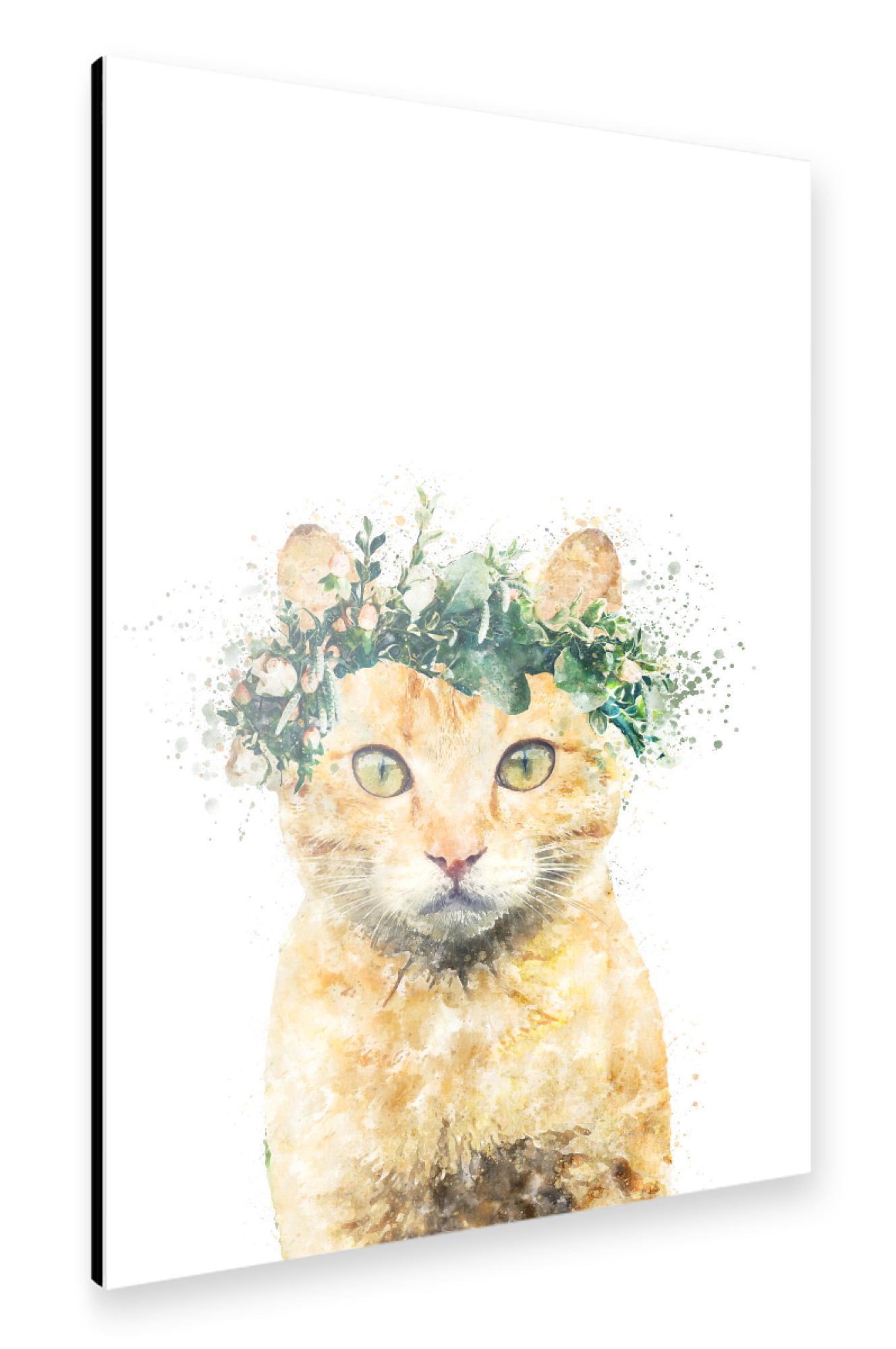 Alu-Dibond "Bohemian Cat with Flowers" 75x50 cm artboxONE