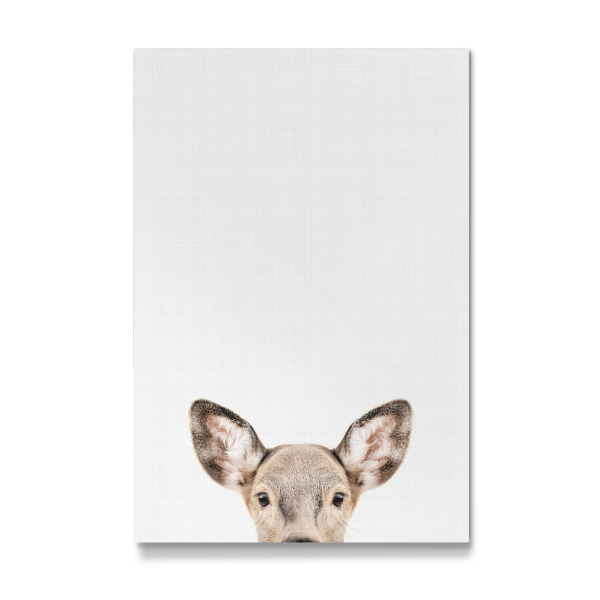 Galerie-Print "Doe Deer Portrait" 30x20 cm artboxONE