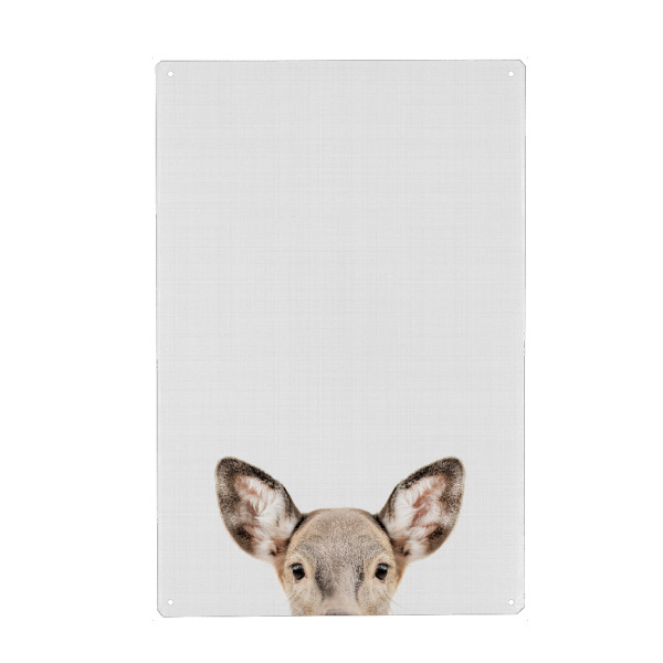 Metall Poster "Doe Deer Portrait" artboxONE - Tiere - Deer,Portrait,Animals - Blechschild