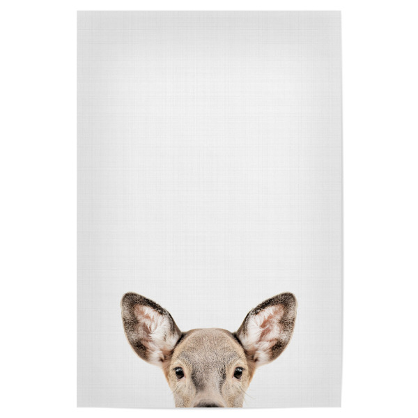 Poster 30x20 cm "Doe Deer Portrait" artboxONE - Tiere - Deer,Portrait,Animals