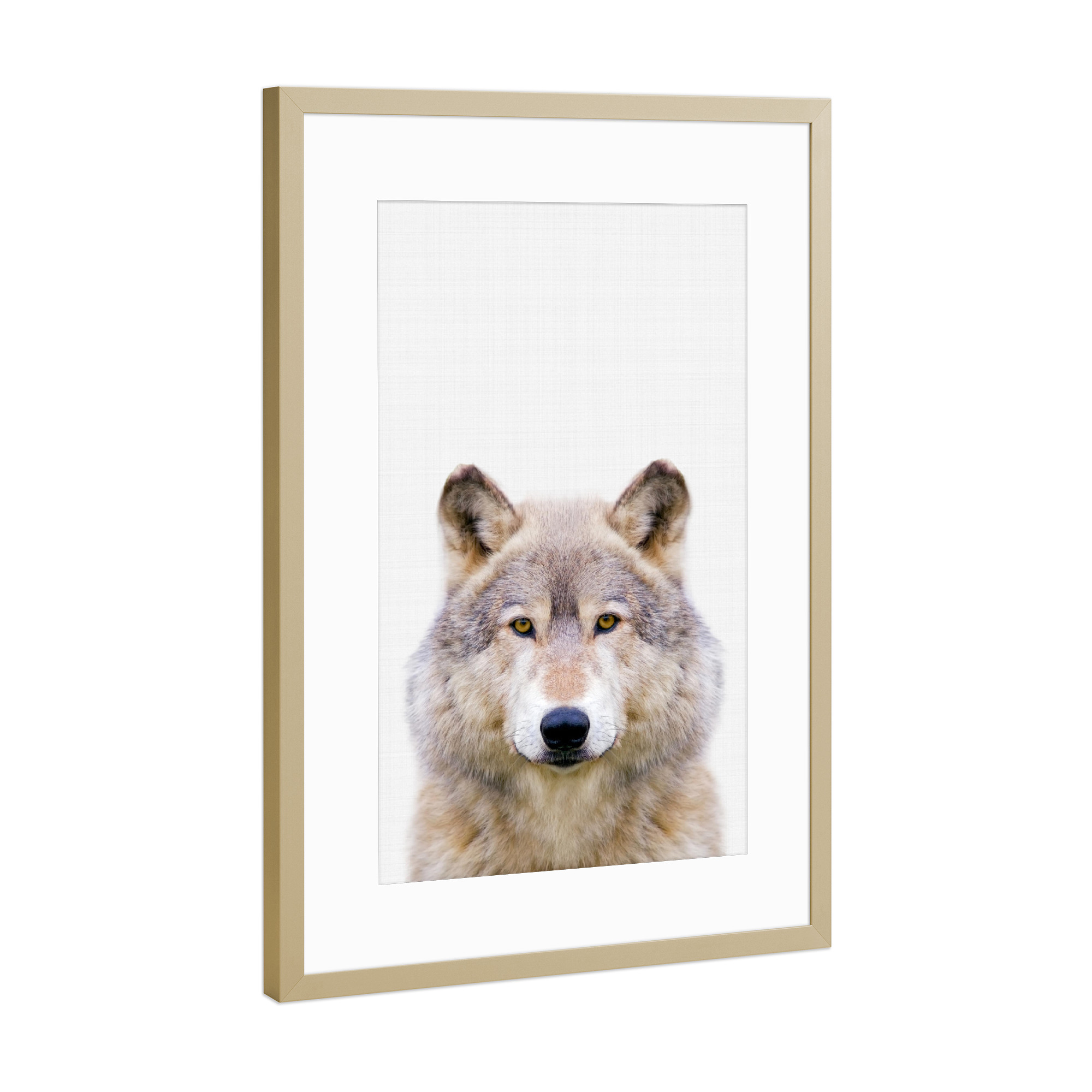 Poster mit Rahmen Gold "Wolf (Color)" artboxONE - Tiere - Wolf,Animal,Portrait