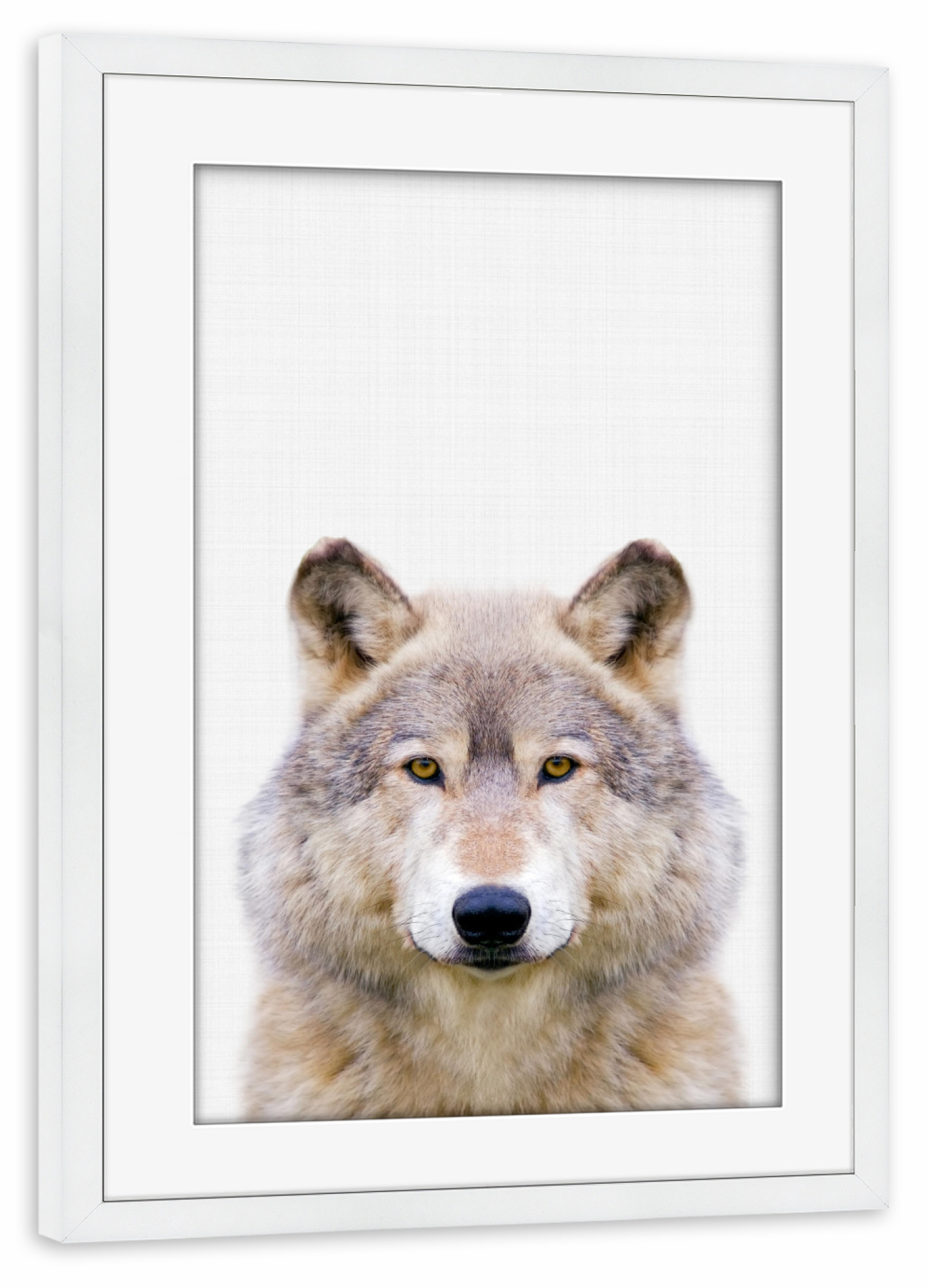 Poster mit Rahmen weiß "Wolf (Color)" artboxONE - Tiere - Wolf,Animal,Portrait