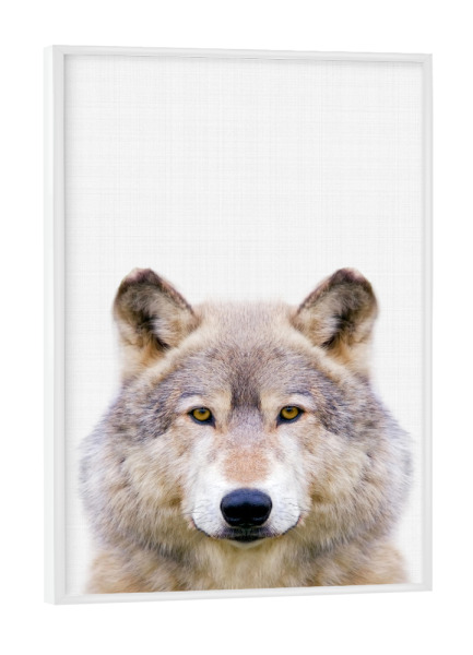 Poster mit weißem Rahmen "Wolf (Color)" artboxONE - Tiere - Wolf,Animal,Portrait