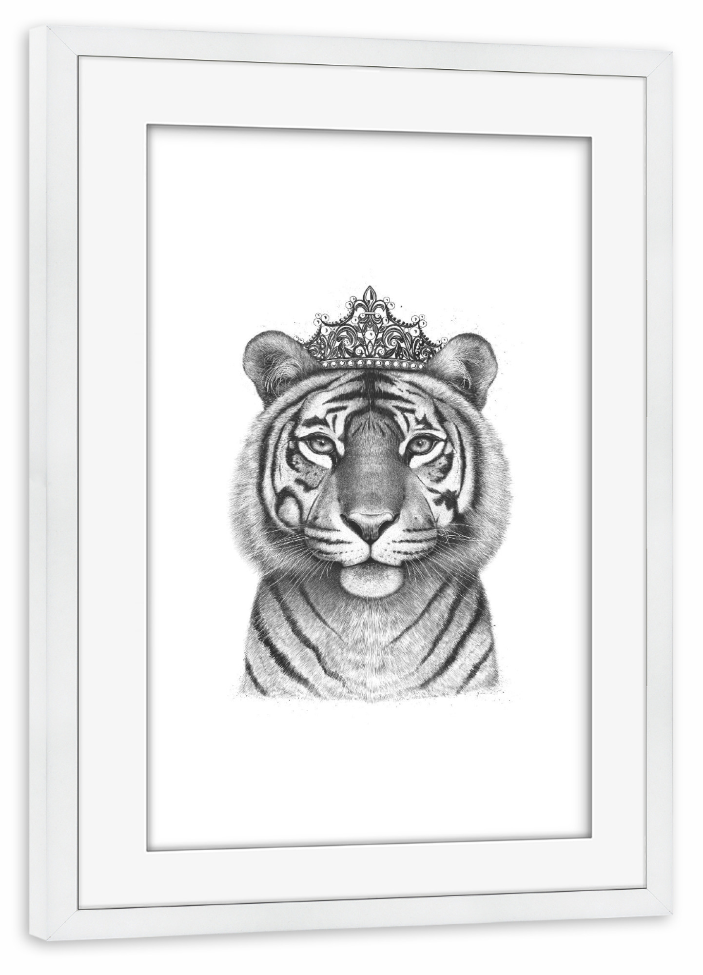 Poster mit Rahmen weiß "The Tigress Queen" artboxONE - Tiere,Schwarzweiß - Tiger,Tigress,Royal,Queen,Crown