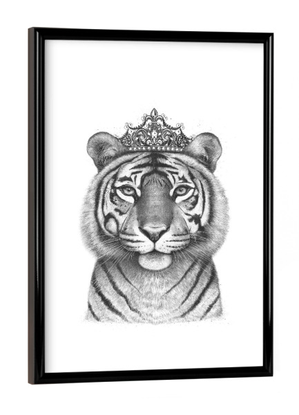 Poster mit schwarzem Rahmen "The Tigress Queen" artboxONE - Tiere,Schwarzweiß - Tiger,Tigress,Royal,Queen,Crown