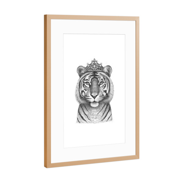Poster mit Rahmen Kupfer "The Tigress Queen" artboxONE - Tiere,Schwarzweiß - Tiger,Tigress,Royal,Queen,Crown
