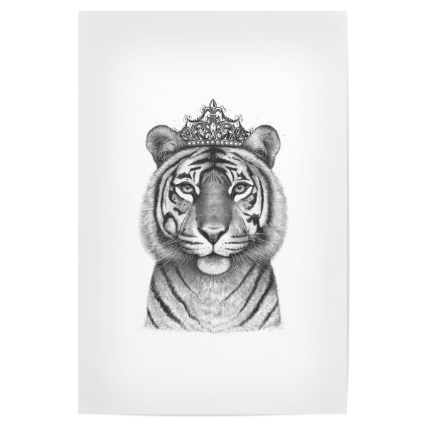 Poster 30x20 cm "The Tigress Queen" artboxONE - Tiere,Schwarzweiß - Tiger,Tigress,Royal,Queen,Crown