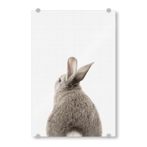 Bunny (Rabbit) Tail