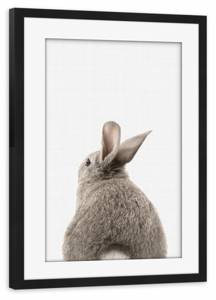 Poster mit Rahmen schwarz "Bunny (Rabbit) Tail" artboxONE - Tiere - Bunny,Rabbit,Animal,Butt