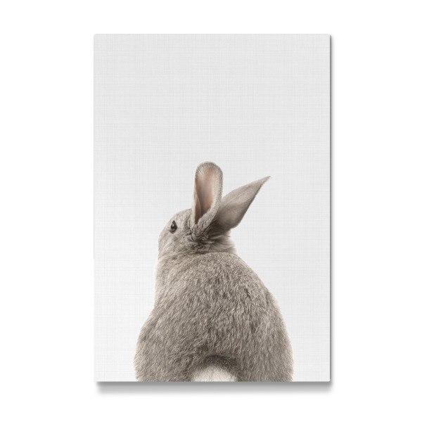 Galerie-Print "Bunny (Rabbit) Tail" 30x20 cm artboxONE