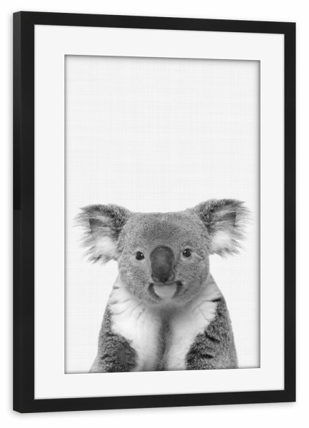 Poster mit Rahmen schwarz "Koala Portrait" artboxONE - Tiere - Koala,Safari,Animal,Portrait