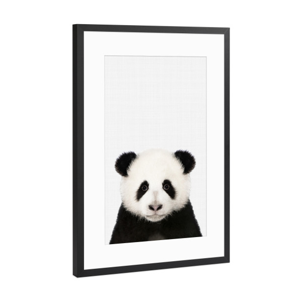 Poster mit Rahmen Schwarz (Metallic) "Panda Portrait (Color)" artboxONE - Tiere,Schwarzweiß - Panda,Portrait,Animal