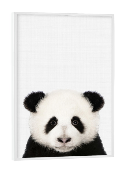 Poster mit weißem Rahmen "Panda Portrait (Color)" artboxONE - Tiere,Schwarzweiß - Panda,Portrait,Animal