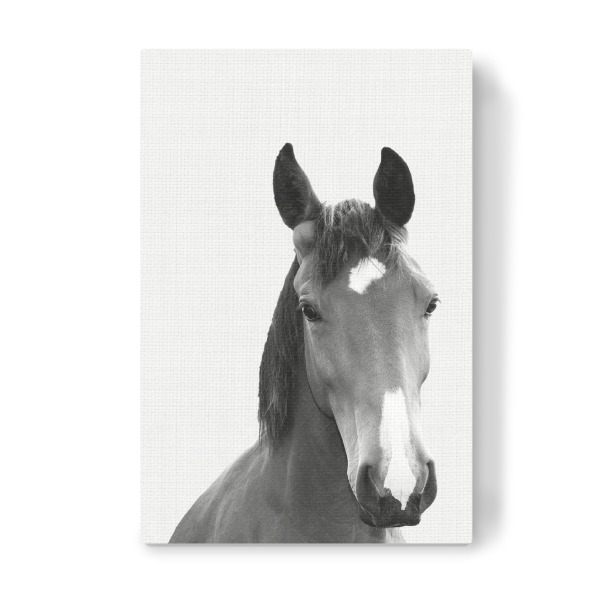 Leinwandbild "Horse (Black and White)" artboxONE - Tiere,Schwarzweiß - Horse,Animal,Portrait