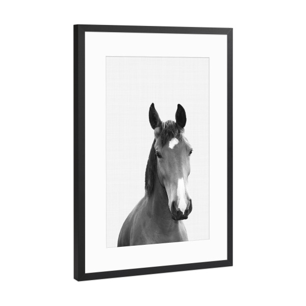 Poster mit Rahmen Schwarz (Metallic) "Horse (Black and White)" artboxONE - Tiere,Schwarzweiß - Horse,Animal,Portrait