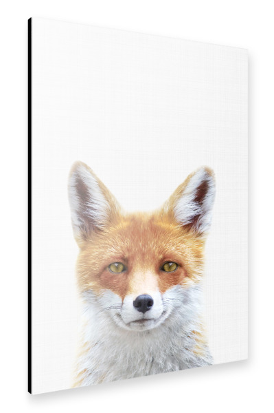 Alu-Dibond "Fox Portrait (Color)" 30x20 cm artboxONE