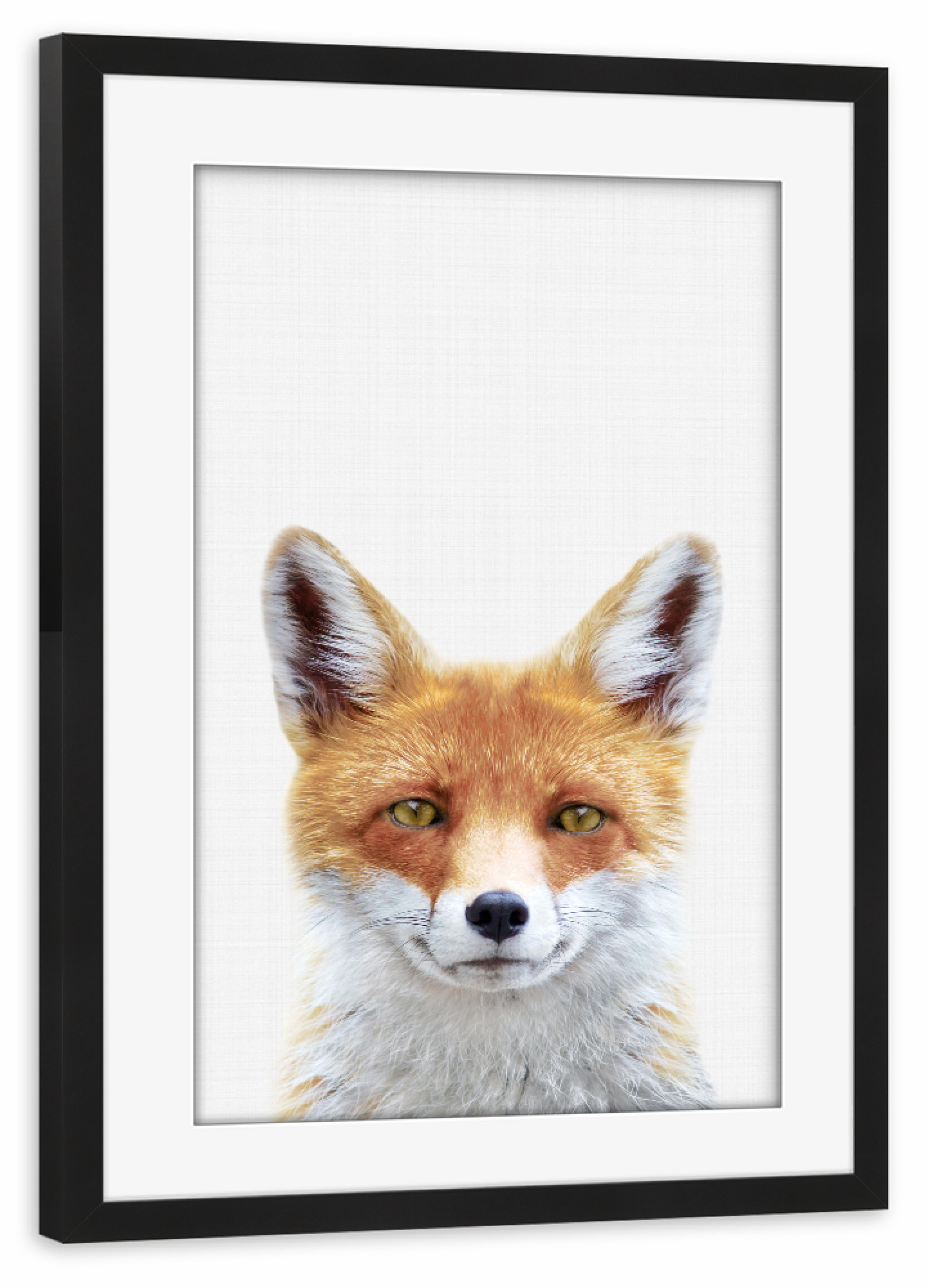Poster mit Rahmen schwarz "Fox Portrait (Color)" artboxONE - Tiere - Fox,Portrait,Animals