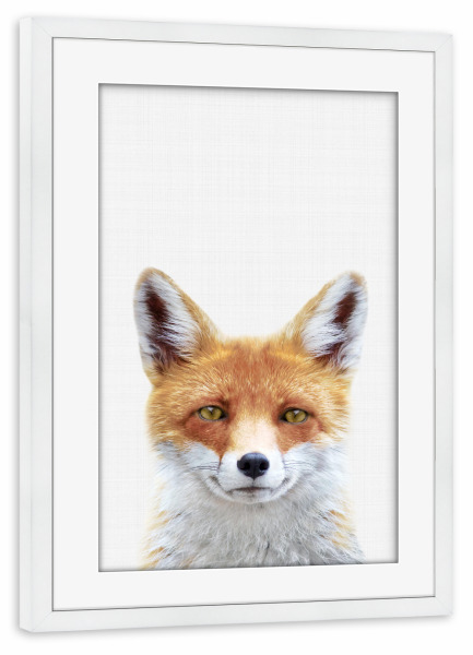 Poster mit Rahmen weiß "Fox Portrait (Color)" artboxONE - Tiere - Fox,Portrait,Animals