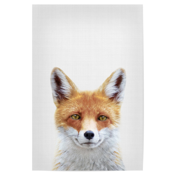Poster 30x20 cm "Fox Portrait (Color)" artboxONE - Tiere - Fox,Portrait,Animals