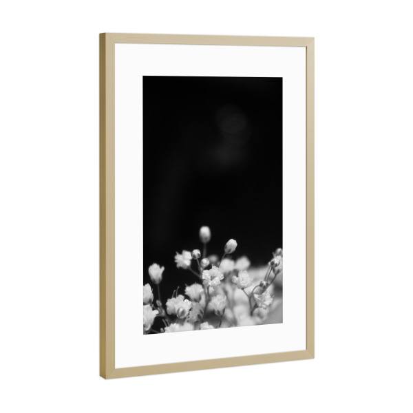 Poster mit Rahmen Gold "Blooms Two" artboxONE - Floral,Schwarzweiß - Flowers