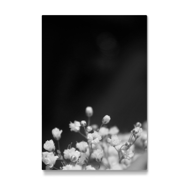 Galerie-Print "Blooms Two" 30x20 cm artboxONE
