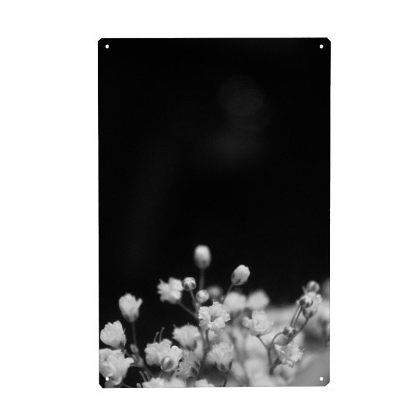 Holzbild "Blooms Two" artboxONE - Floral,Schwarzweiß - Flowers