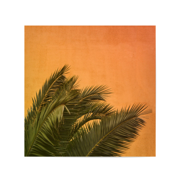 Poster 20x20 cm "Palm Two" artboxONE - Natur - Palm,Leaves,Summer