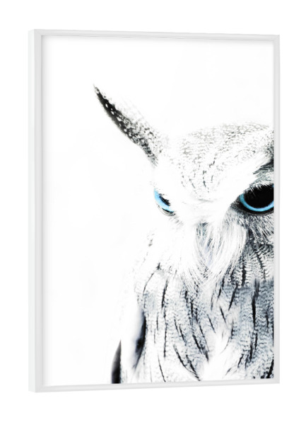 Poster mit weißem Rahmen "Blue Eyed Owl" artboxONE - Tiere