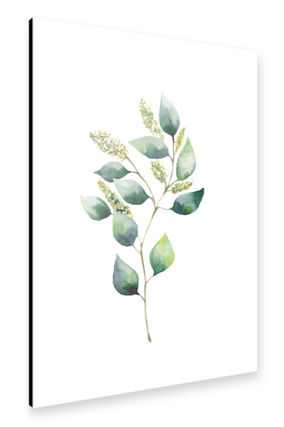 Alu-Dibond "Floral Eucalyptus" 30x20 cm artboxONE