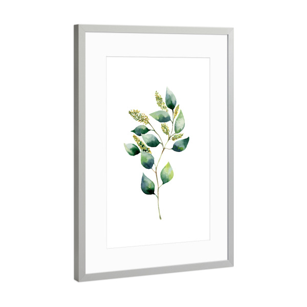 Poster mit Rahmen Silber "Floral Eucalyptus" artboxONE - Floral - Eukalyptus,Zweig,Blätter