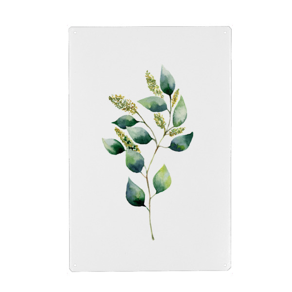 Metall Poster "Floral Eucalyptus" artboxONE - Floral - Eukalyptus,Zweig,Blätter - Blechschild