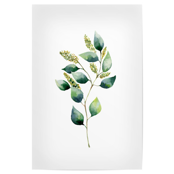 Poster 30x20 cm "Floral Eucalyptus" artboxONE - Floral - Eukalyptus,Zweig,Blätter