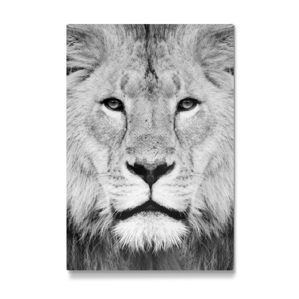 Galerie-Print "Black and White Lion Face" 30x20 cm artboxONE