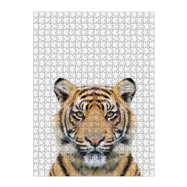 Puzzle Ravensburger "Tiger Portrait (Color)" artboxONE - Tiere,Schwarzweiß - Tiger,Animal,Portrait - Bild tiger