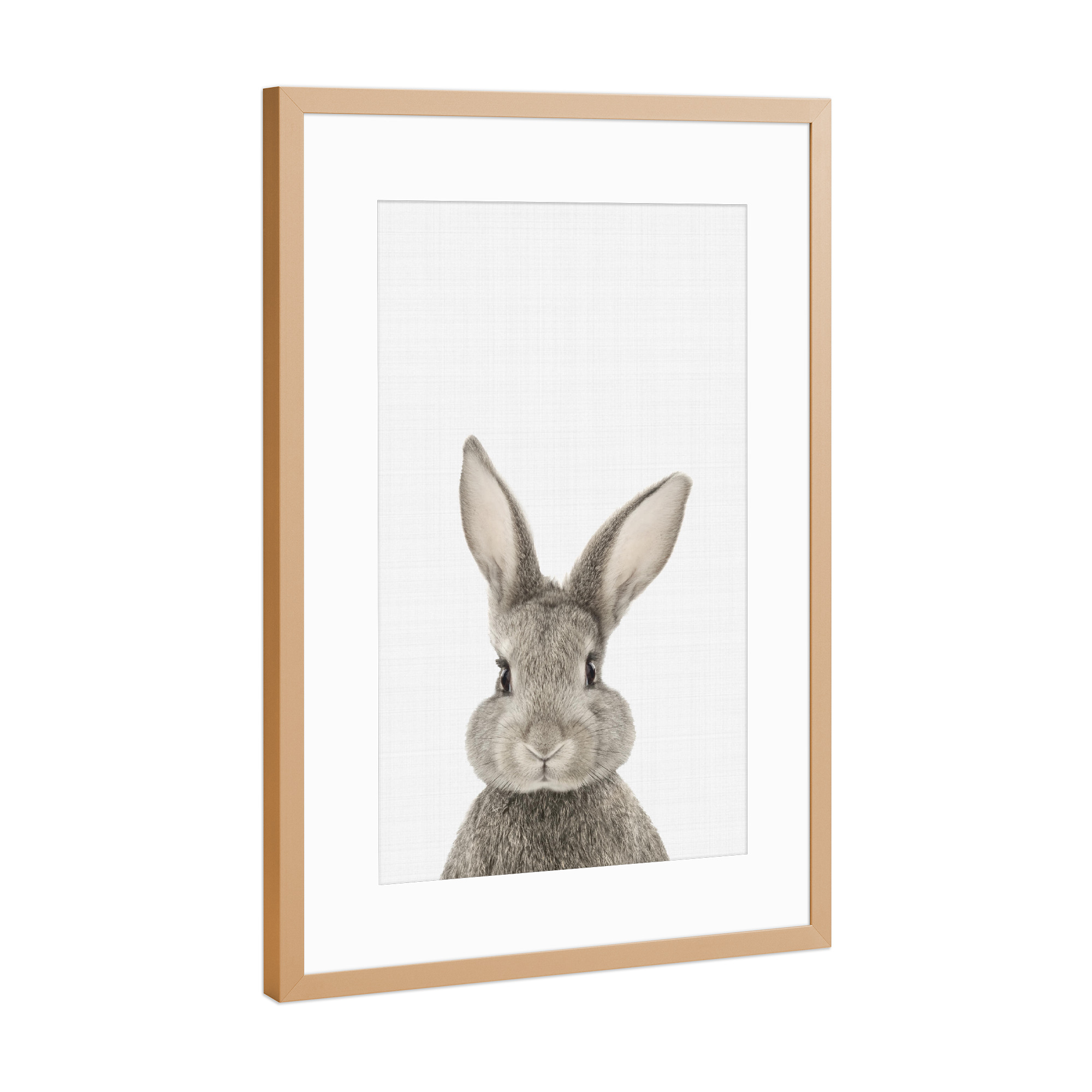 Poster mit Rahmen Kupfer "Rabbit Portrait (Color)" artboxONE - Tiere,Schwarzweiß - Bunny,Rabbit,Portrait