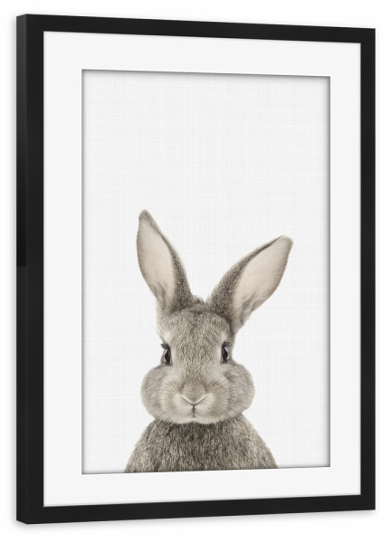 Poster mit Rahmen schwarz "Rabbit Portrait (Color)" artboxONE - Tiere,Schwarzweiß - Bunny,Rabbit,Portrait