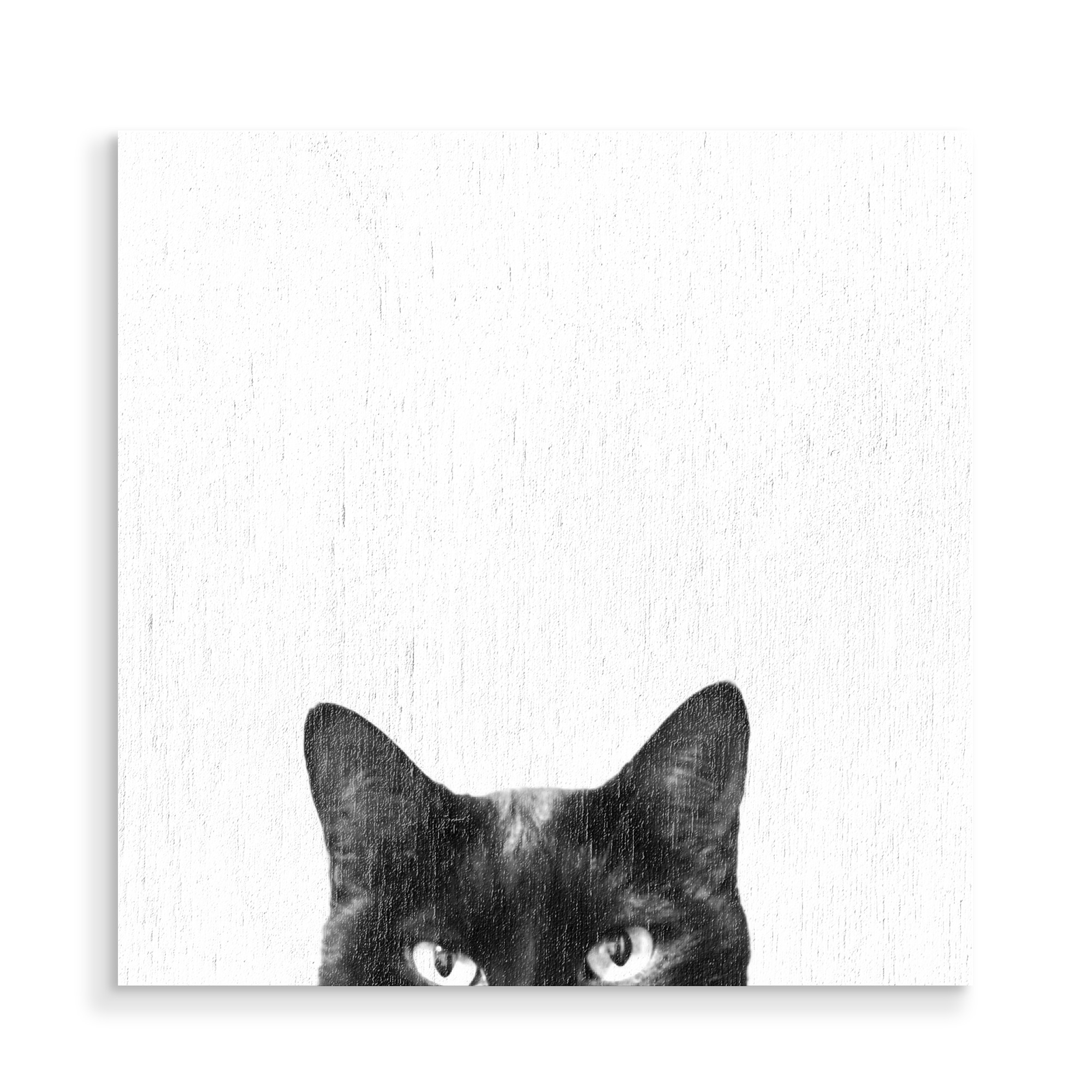 Holzbild "Black Cat Gaze" artboxONE - Tiere,Schwarzweiß