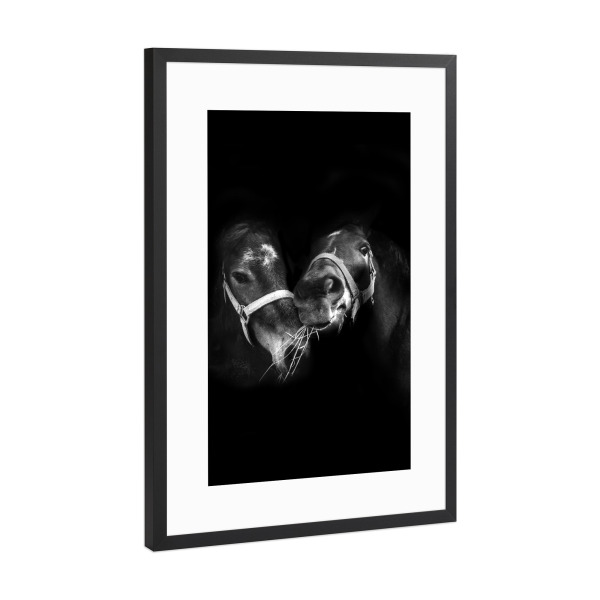 Poster mit Rahmen Schwarz (Metallic) "Partners" artboxONE - Tiere,Schwarzweiß - Horse,Horses,Portrait,Animal,Animal portrait