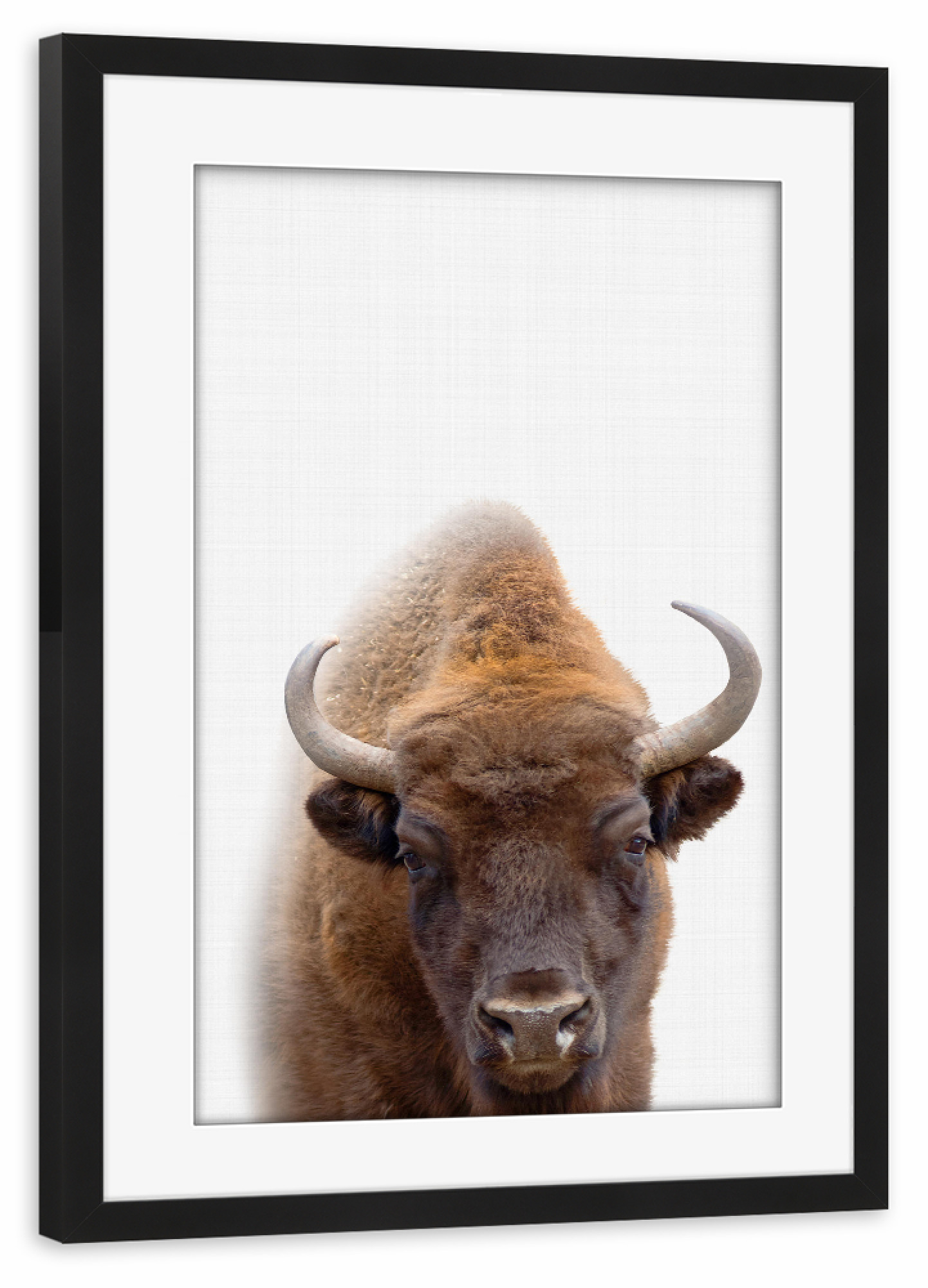 Poster mit Rahmen schwarz "Bison Portrait (Color)" artboxONE - Tiere - Bison,Buffalo,Farm animal,Büffel,Wildnis,Hörner,Challetstil