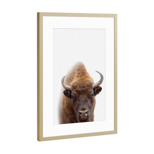 Poster mit Rahmen Gold "Bison Portrait (Color)" artboxONE - Tiere - Bison,Buffalo,Farm animal,Büffel,Wildnis,Hörner,Challetstil