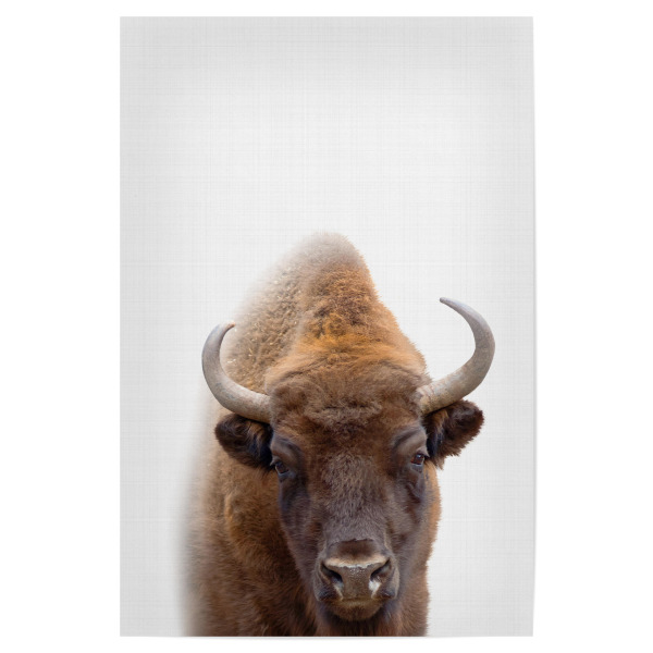 Poster "Bison Portrait (Color)" artboxONE - Tiere - Bison,Buffalo,Farm animal,Büffel,Wildnis,Hörner,Challetstil