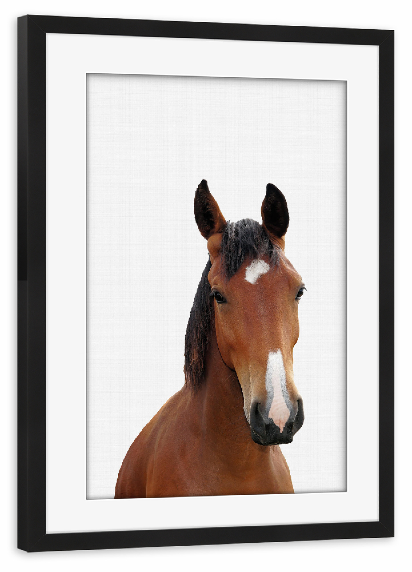Poster mit Rahmen schwarz "Horse Portrait (Color)" artboxONE - Tiere - Horse,Horse print,Horse portrait,Nursery decor