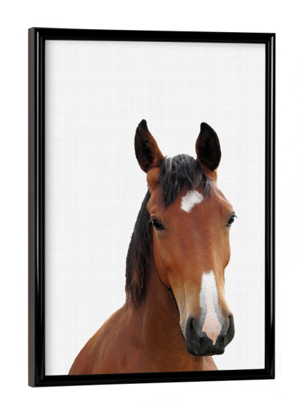 Poster mit schwarzem Rahmen "Horse Portrait (Color)" artboxONE - Tiere - Horse,Horse print,Horse portrait,Nursery decor