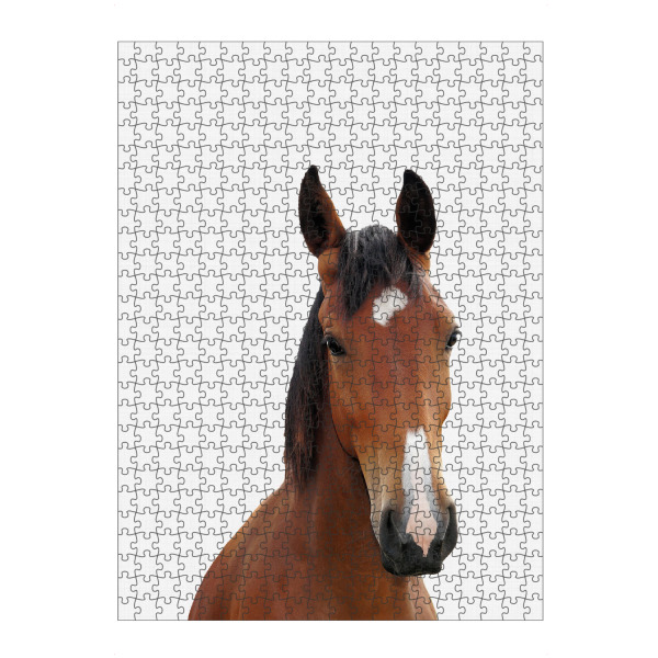 artboxONE Puzzle "Horse Portrait (Color)" artboxONE - Tiere - Horse,Horse print,Horse portrait,Nursery decor - Bild horse