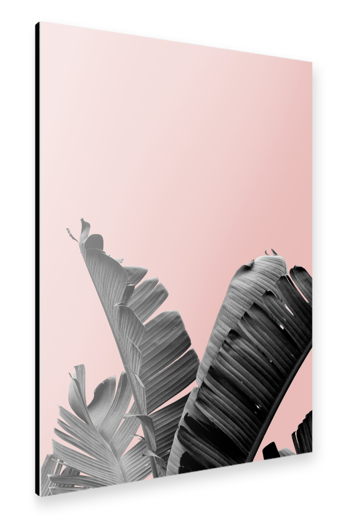Alu-Dibond "Palm Leaf collage" 75x50 cm artboxONE