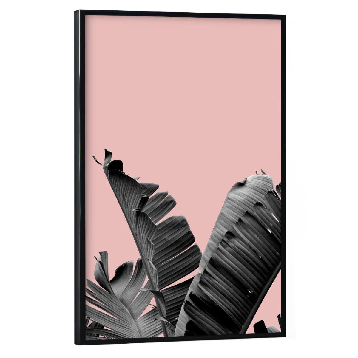 Palm Leaf Collage Als Poster With Plastic Frame Bei Artboxone Kaufen