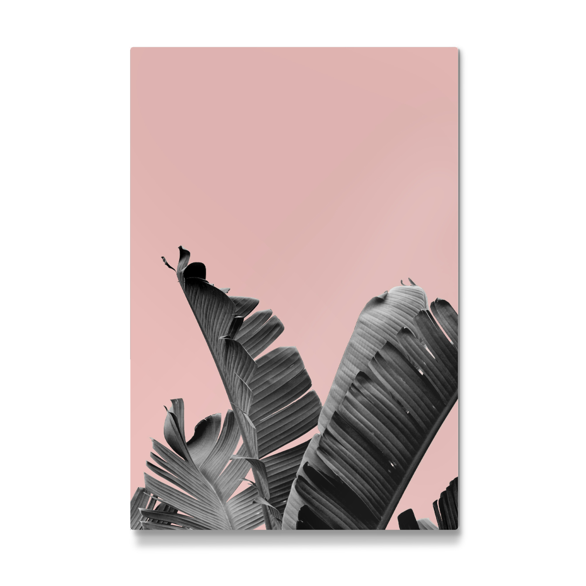 Galerie-Print "Palm Leaf collage" 75x50 cm artboxONE