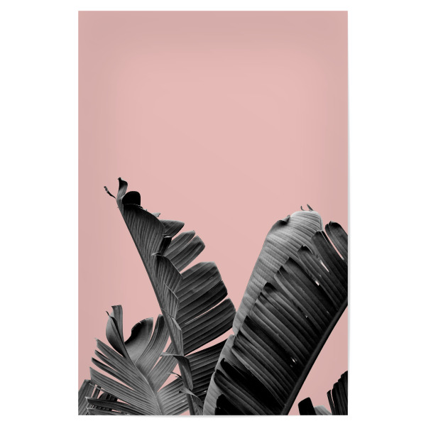 Poster 30x20 cm "Palm Leaf collage" artboxONE - Natur