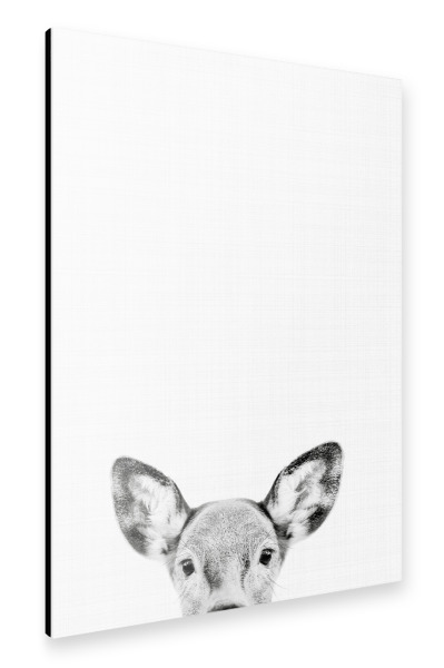 Alu-Dibond "Doe Deer Portrait (Black & White)" 30x20 cm artboxONE