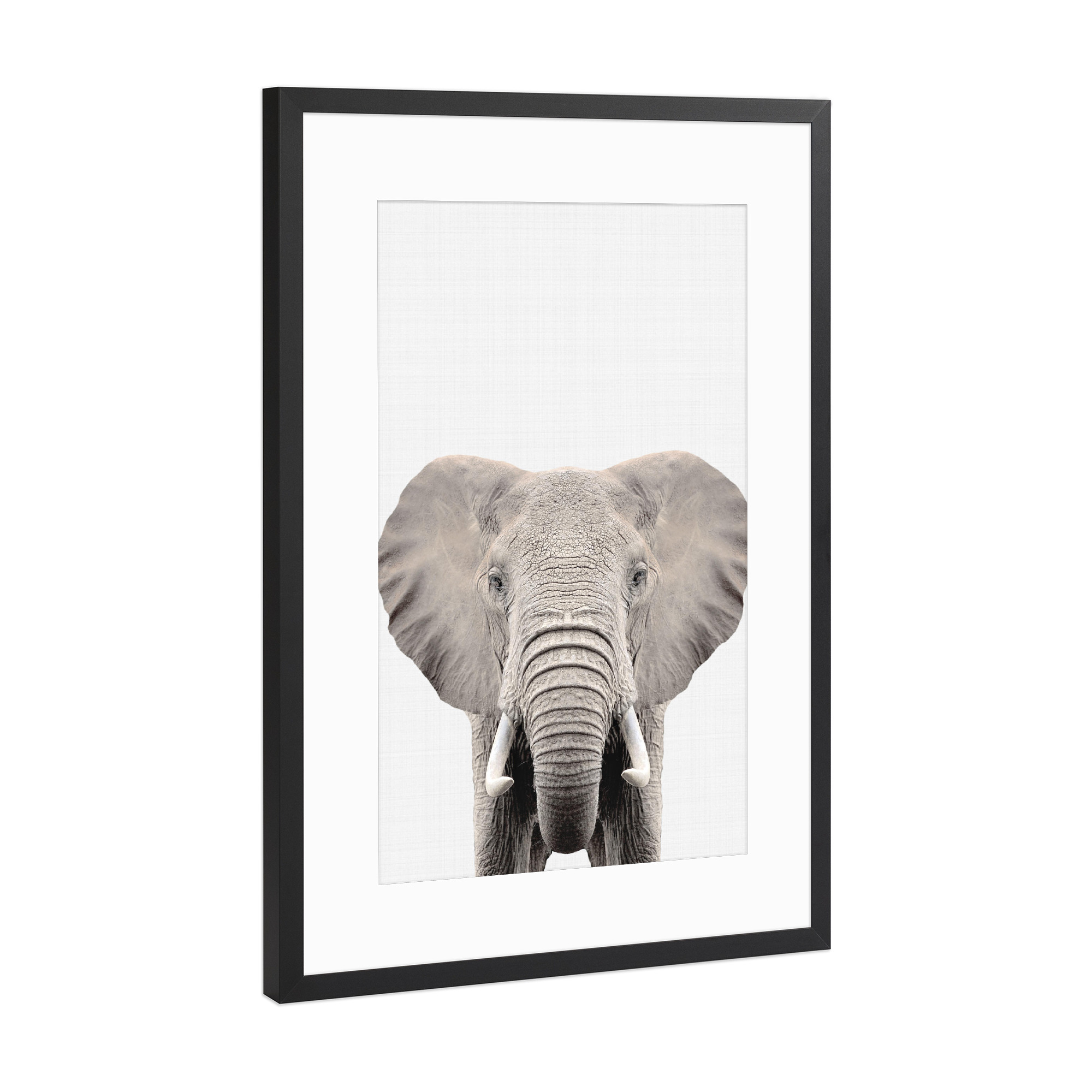 Poster mit Rahmen Schwarz (Metallic) "Elephant Portrait (Color)" artboxONE - Tiere - Elephant,Portrait